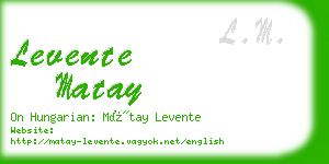 levente matay business card